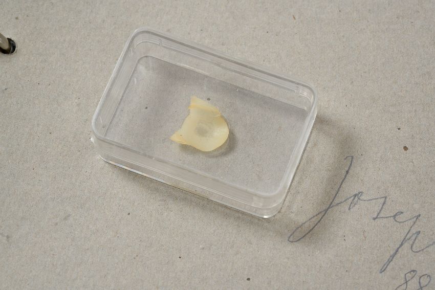 Joseph Beuys – Werkverzeichnis der Multiples mit "Fingernagelabdruck" (1972)