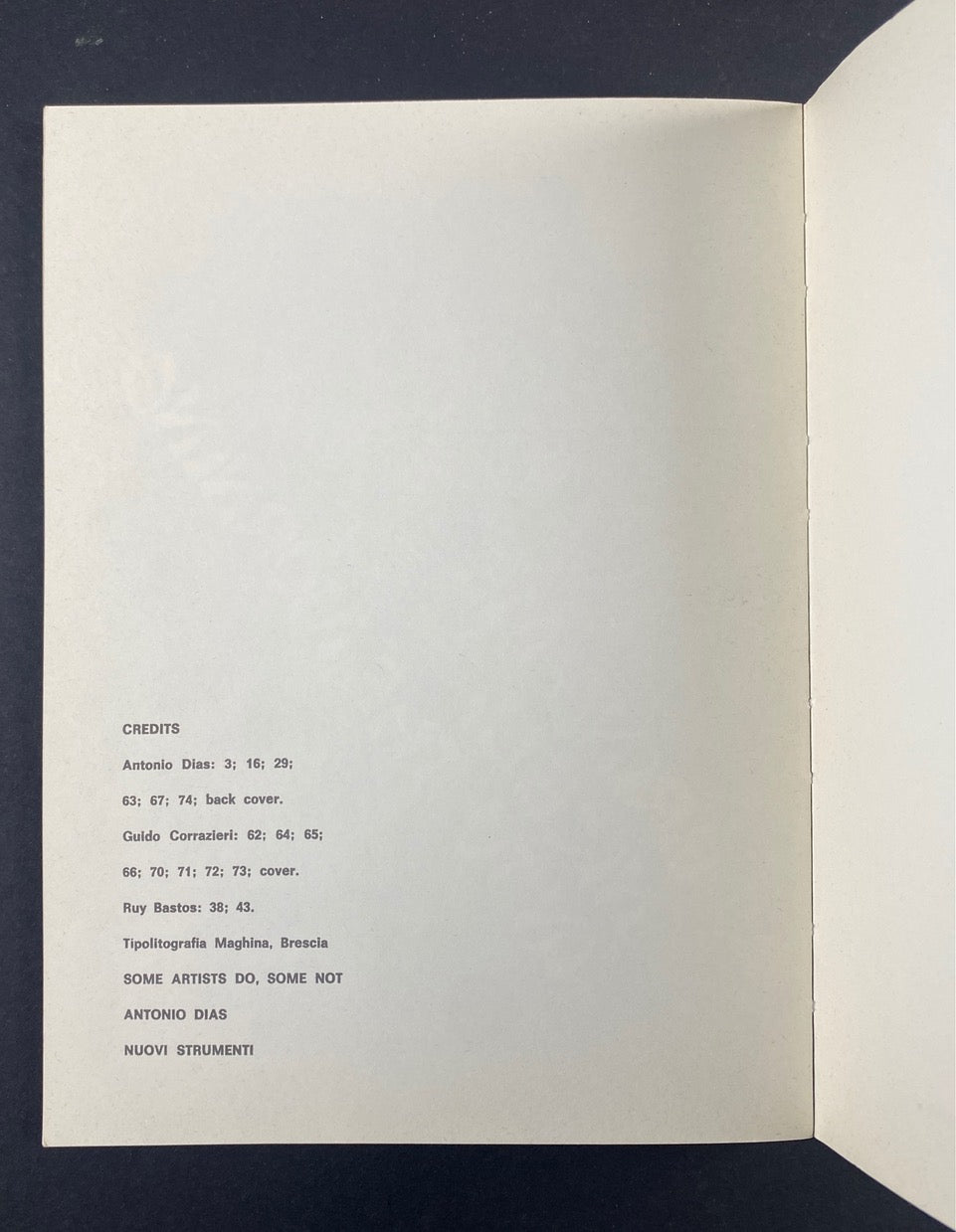 Antonio Dias – "Some artists do some not" (1974)